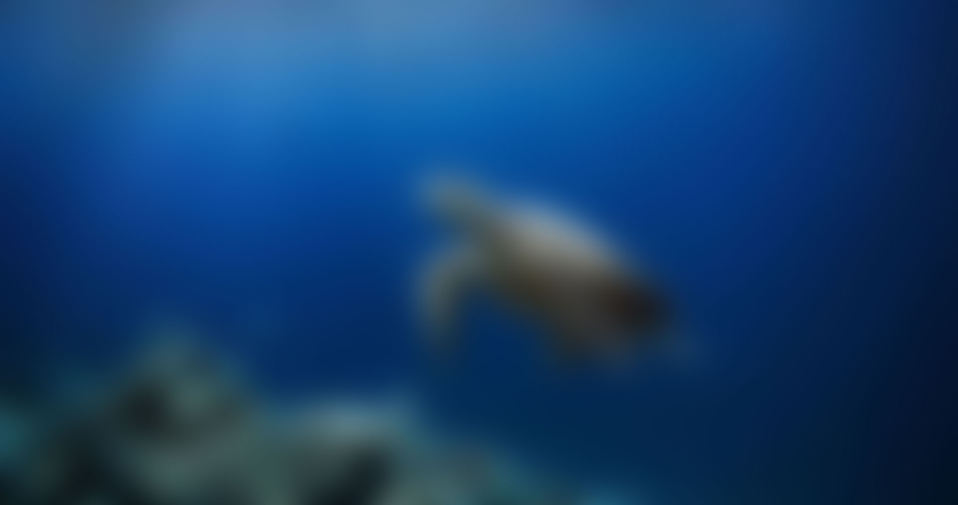 ConsultingPress Tourism Consulting Destination Management Plan Project 03