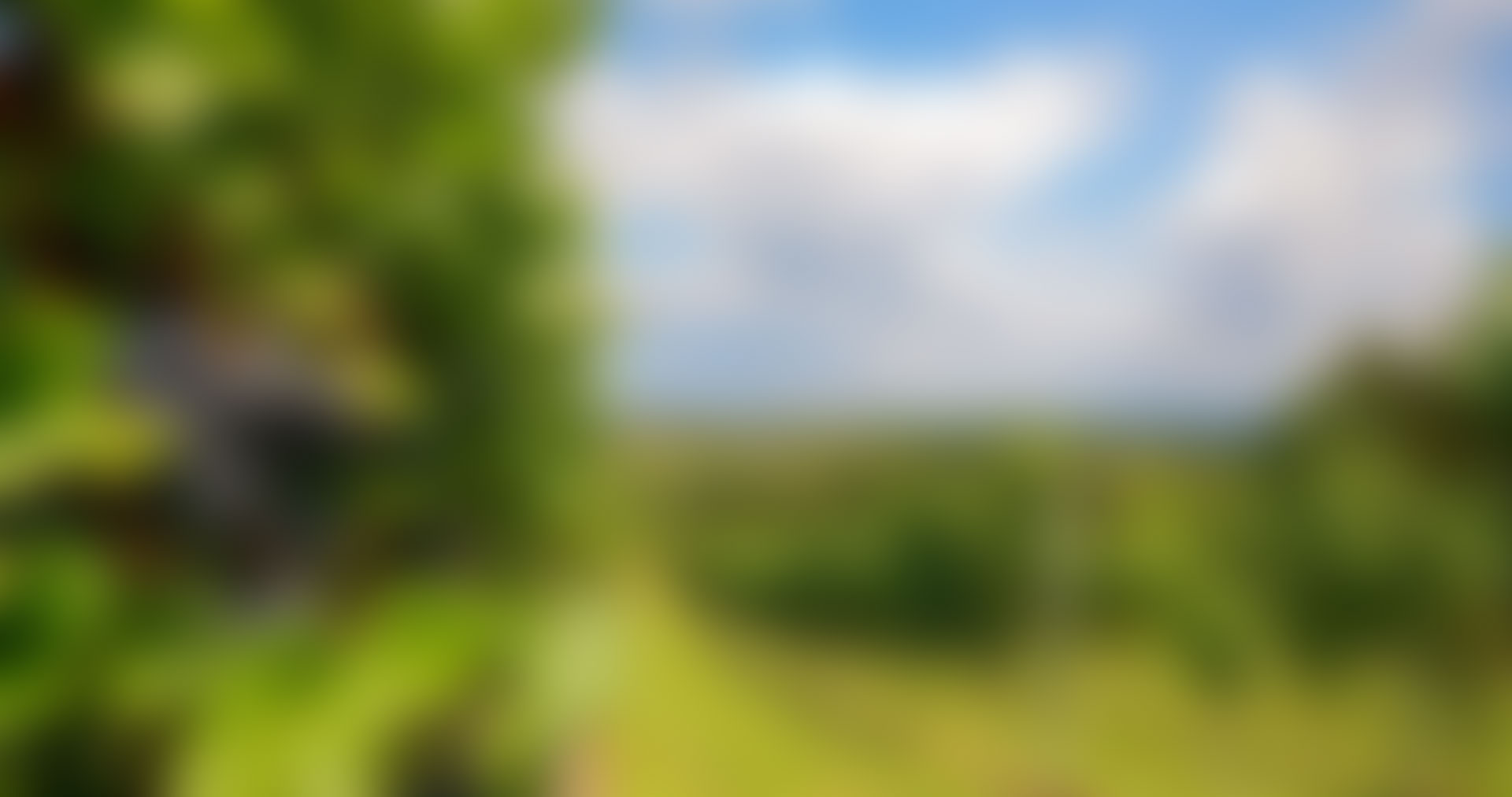 ConsultingPress Tourism Consulting Tourism Development Project Slide 03