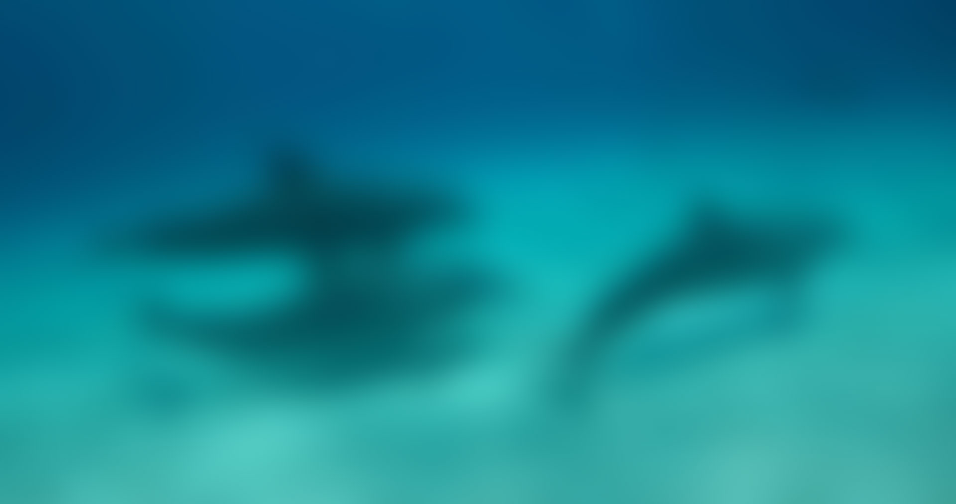 ConsultingPress Tourism Consulting Tourism Makreting Project Slide 02