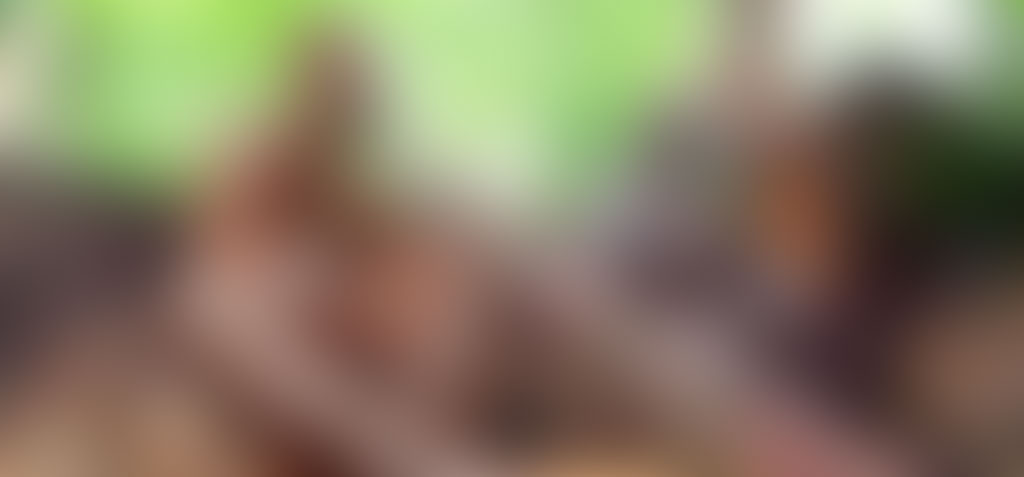 ConsultingPress Tourism Consulting Tourism Development