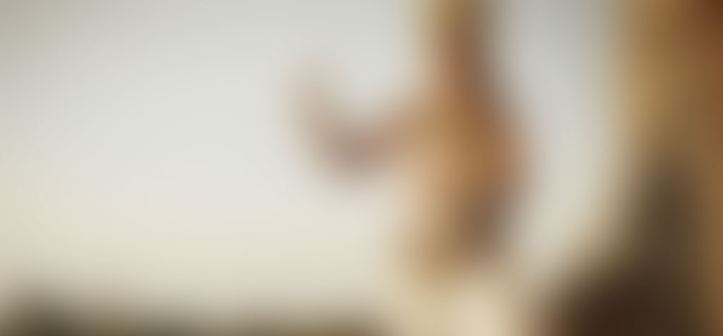 ConsultingPress Tourism Consulting Tourism Partnership