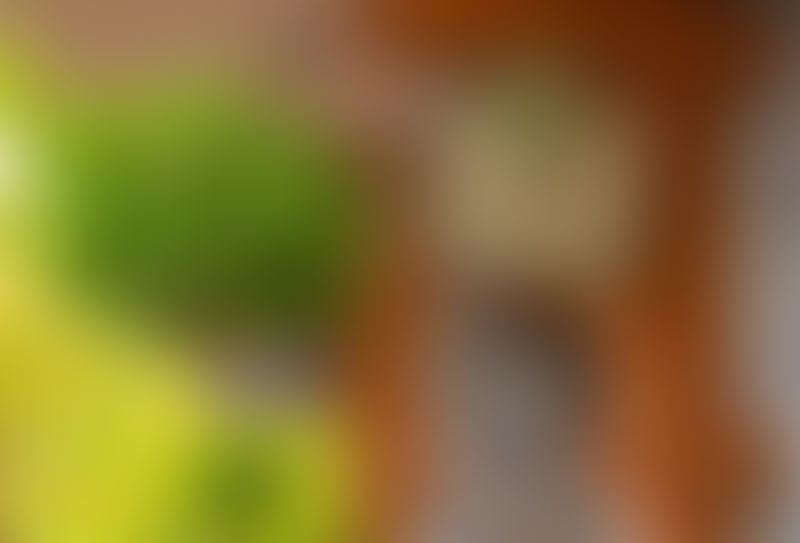 ConsultingPress Tourism Training & Education